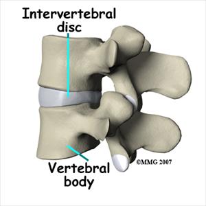 Back Sciatica Answers - Sciatica- Causes And Treatments: Savannah, GA. Jacksonville, FL.