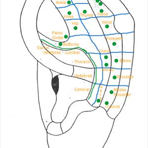 Sciatic Nerve Neuropathy Videos - Information On Sciatica